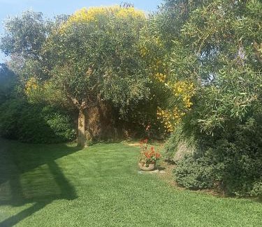 Carovigno Villa | Villa Maria