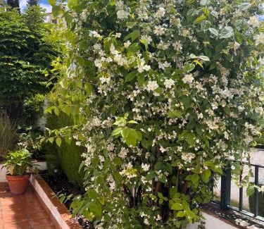 Granada City Center Villa | VILLA MERCEDES