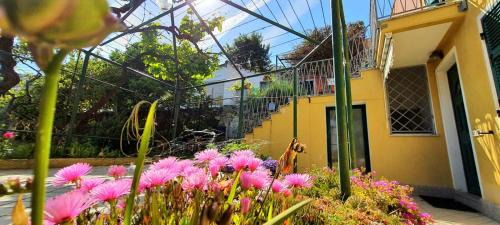 Torre del Mare Apartment | Villa Mimosa