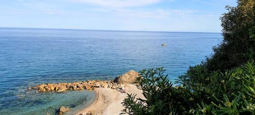 Torre del Mare Apartment | Villa Mimosa