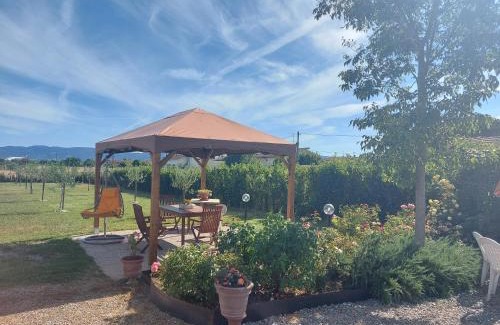 Pistoia House | Villa Monica