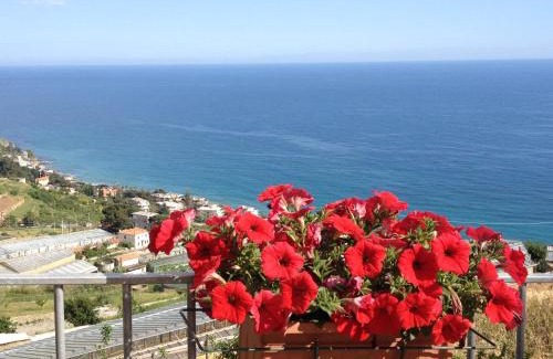Sanremo House | Villa Mont des Oliviers CITRA-8055LT-1805 e 1807