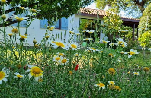 Datca Villa | Villa nar