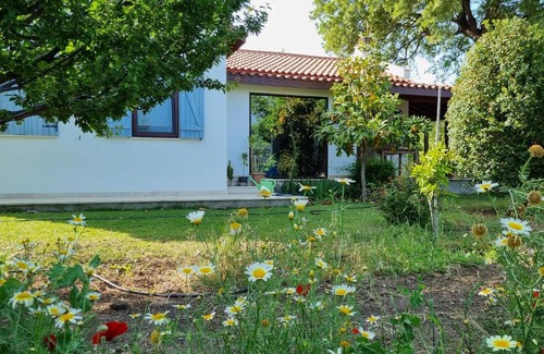 Datca Villa | Villa nar