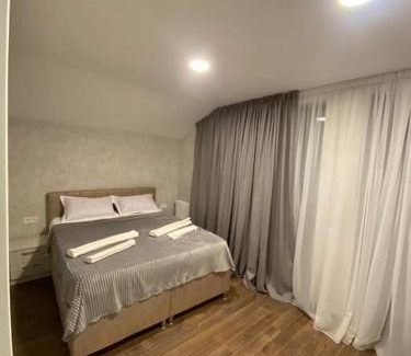 Bakuriani Villa | Villa Niako Bakuriani