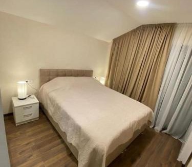 Bakuriani Villa | Villa Niako Bakuriani