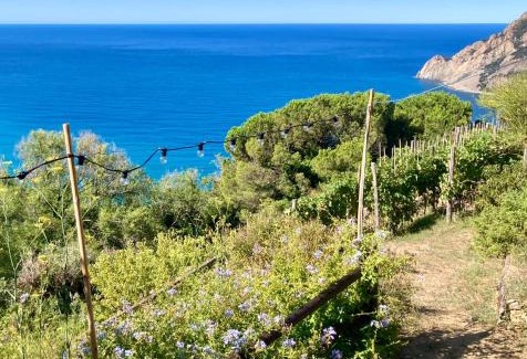 Monterosso al Mare House | Villa Pietrafiore