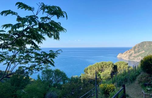Monterosso al Mare House | Villa Pietrafiore
