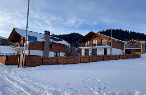 Bakuriani Villa | Villa Rodonson