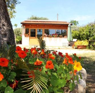Palinuro Bed & Breakfast | Villa Rosada