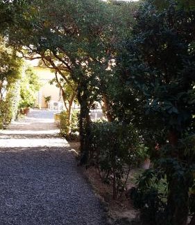 Marina di Pisa Apartment | Villa Salvini