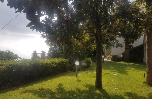Raito Villa | Villa San Vito