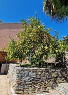 Oletta Villa | villa terra et mare