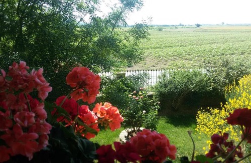 Cortona House | Villa Toscana La Mucchia