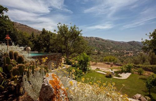 Corbara Villa | Villa U Laziu