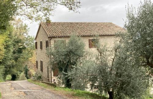 Cupramontana Bed & Breakfast | Villa Verdicchio - B&B with wellness for winelovers