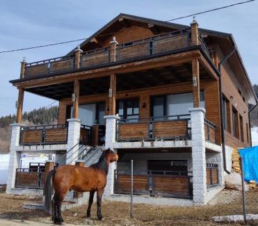 Bakuriani House | Villa Victoria in Bakuriani