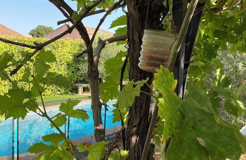 Lambesc Villa | Villa with pool in Provence: l'Oliveraie