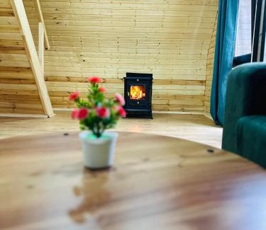 Bagvdanari Ski Chalet | Villa Wood in Mestia N 2