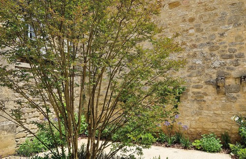 Domme House | Village house in the heart of the Bastide of Domme