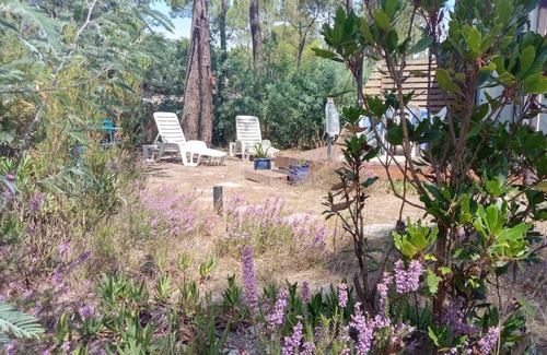 Grayan-Et-L'Hopital House | Village Naturiste Euronat Grayan Bungalow Studio A 800 M DE L Ocean