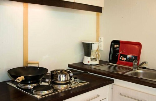 Sainte-Eulalie-d'Olt Ski Chalet | Village of Gites La Cascade - 3 Room Chalet 5/6 People