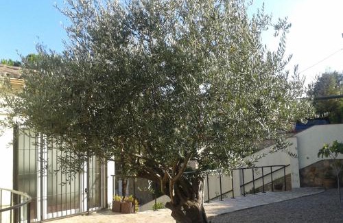 Calonge Apartment | VillaPina1906