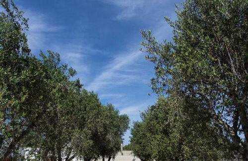 Lecce Apartment | Villetta dei Nespoli |SITCase