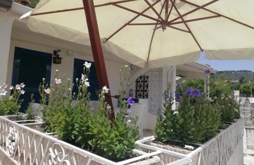 Santa Maria House | Villetta La Scialuppa Capo Vaticano