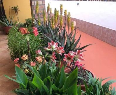 Lampedusa Apartment | Villette ad uso turistico per affitti brevi