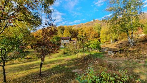 Madonna del Sasso Villa | Villino Camparbino vista lago d orta