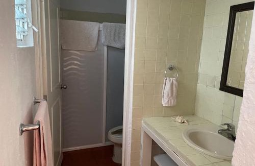 Ajijic Apartment | Villita en la floresta