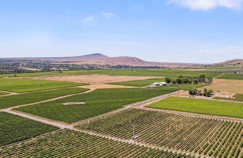 Benton City House | Vineyard Views in the Heart of Washington Wine Country