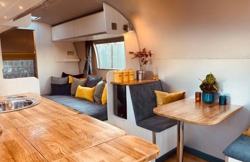 Thorpe Apartment | Vintage 1962 airstream