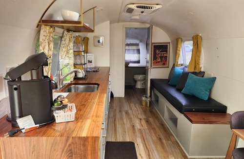 Mill Spring House | Vintage 1971 Airstream on the creek, easy access to pool and playground, sleeps 2.
