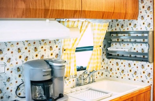 Covington House | Vintage Airstream Camper in Covington, VA 4 guests - 1 bedroom - 3 beds -1 bath