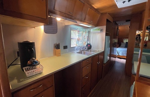 Mill Spring House | Vintage camper on the creek, short walk to pool and playground, deck, gas grill, sleeps 2.