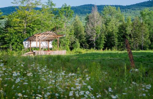 Chatham House | Vintage Camper Rental for Secluded Getaway in Chatham Hills, New Hampshire