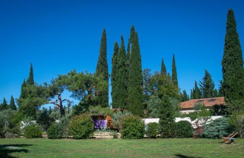 Arles House | Vintage Provence