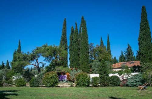Arles House | Vintage Provence