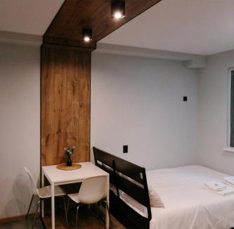 Sofia City Center Apartment | Vinyl Studio Apartment Sofia