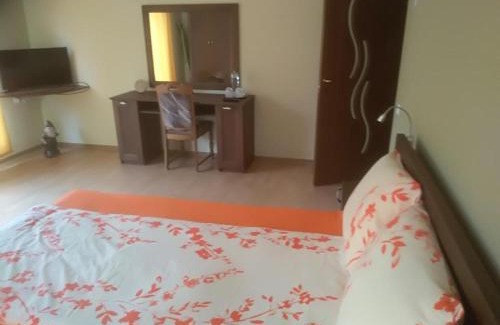 Viile Satu Mare House | VIS PENSION