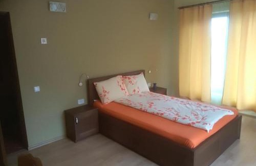 Viile Satu Mare House | VIS PENSION