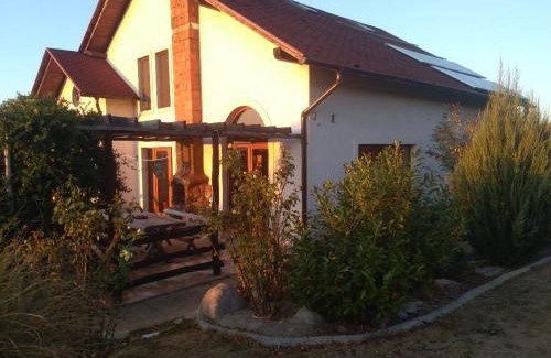 Viile Satu Mare House | VIS PENSION