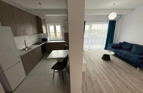 Timisoara Apartment | VISAJ Nova