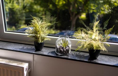 Emden Apartment | Visiet - Ferienwohnungen in Emden