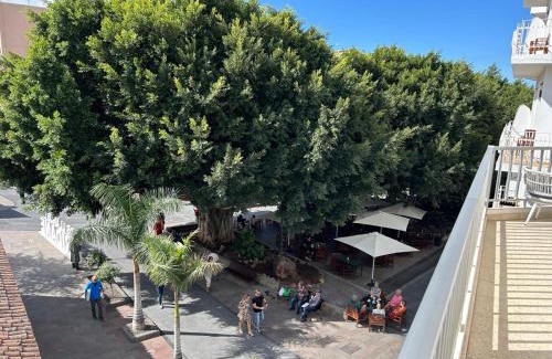 Los Llanos Apartment | VISTA PLAZA - Exceptional Location