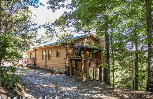 Blue Ridge House | Vista