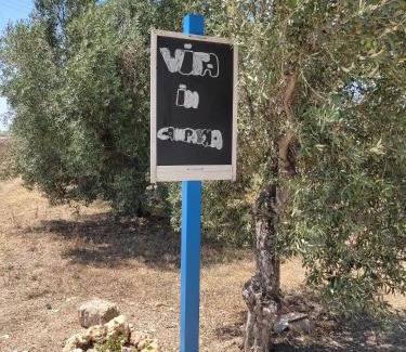 Noto House | Vita in Campagna