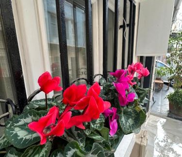 Taksim Apartment | Viva Istanbul